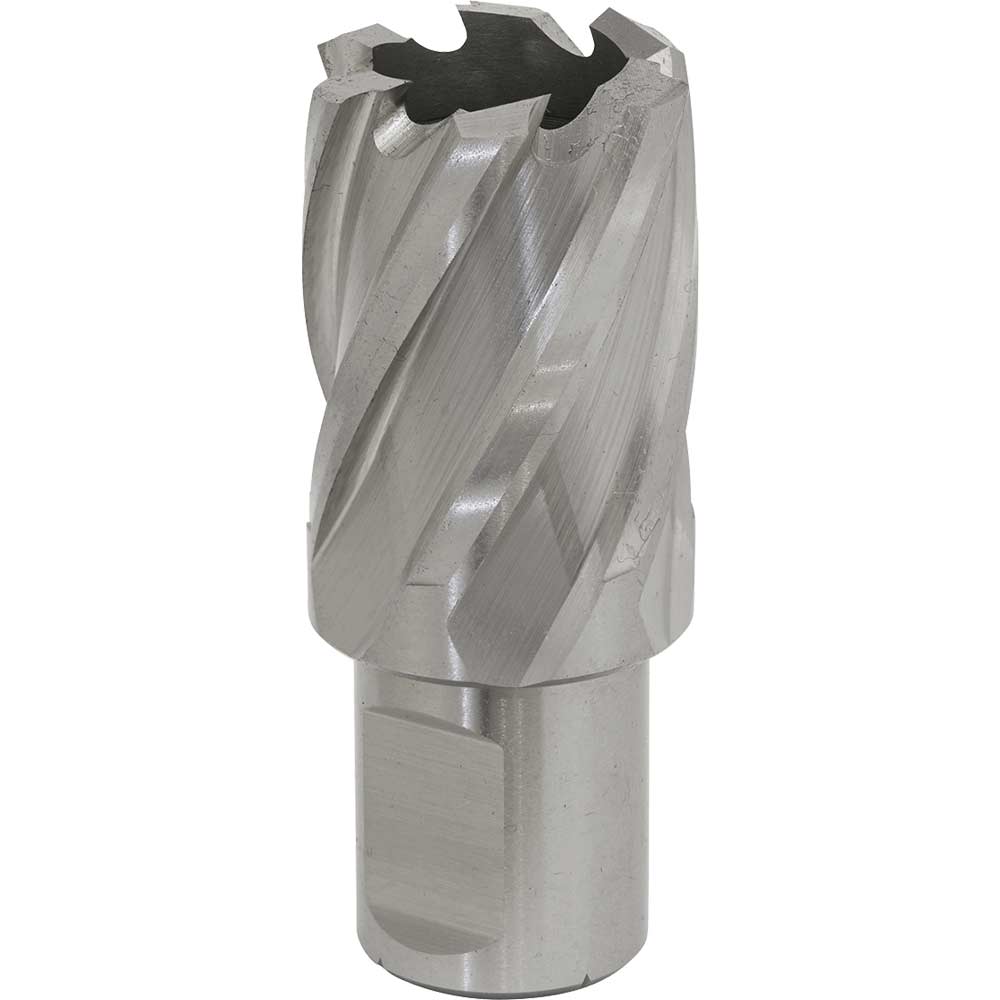 Image of Sealey Rotabor Weldon Shank HSS Mag Drill Cutter 25mm 25mm
