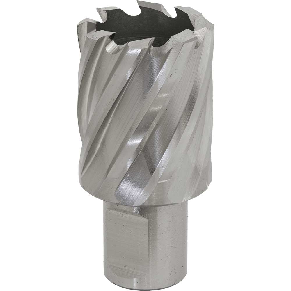 Image of Sealey Rotabor Weldon Shank HSS Mag Drill Cutter