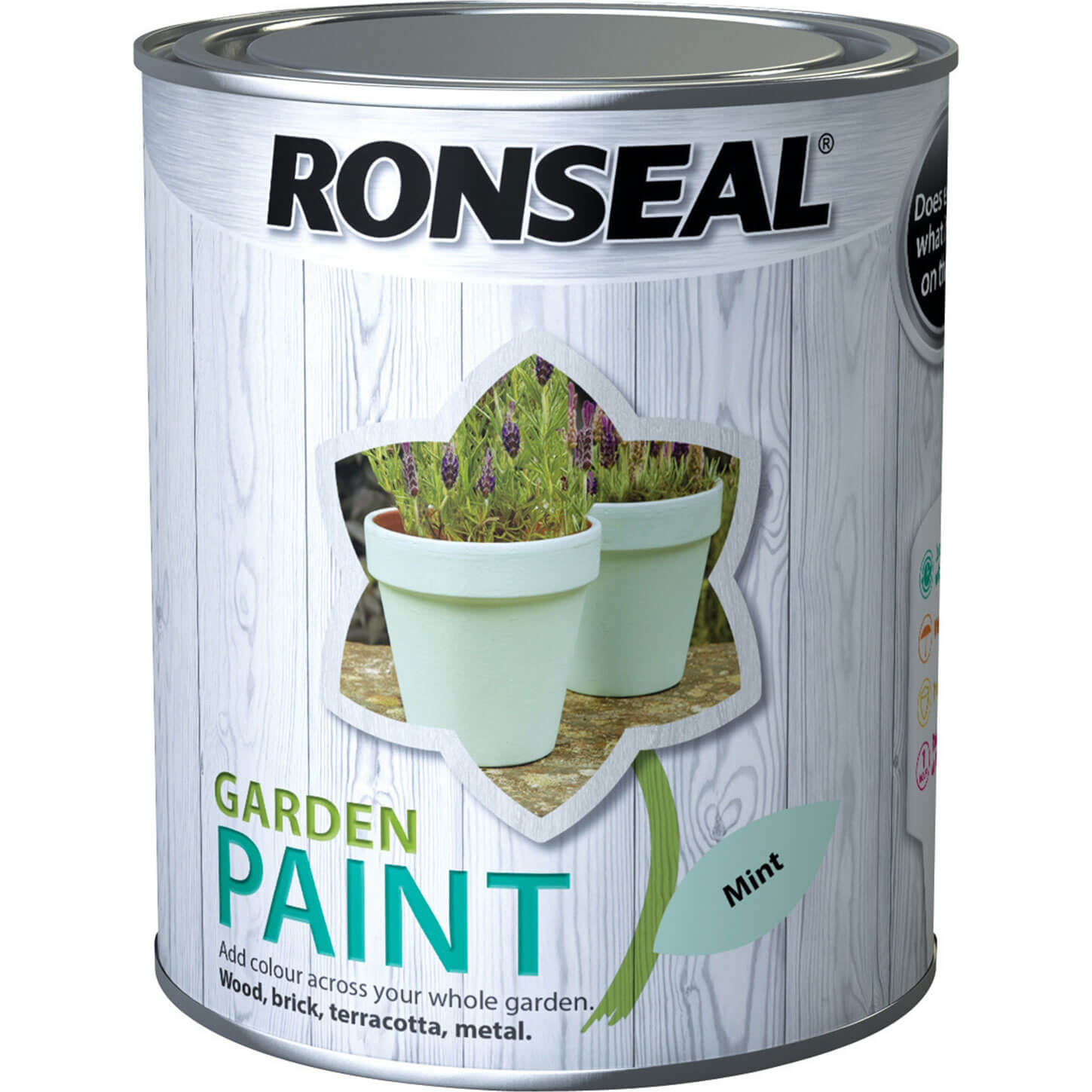 Image of Ronseal General Purpose Garden Paint Mint 750ml