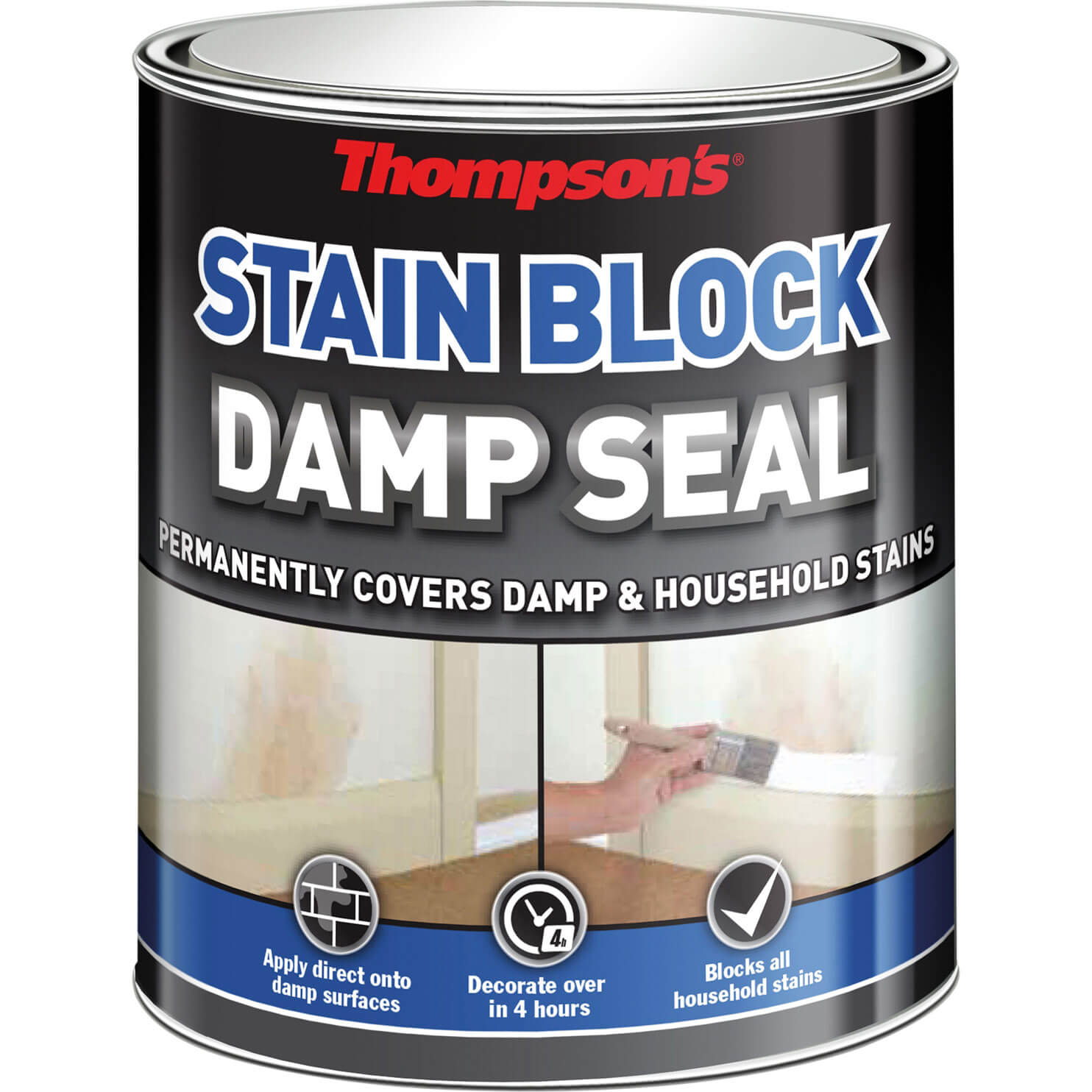 Image of Ronseal Thompsons Damp Seal White 250ml