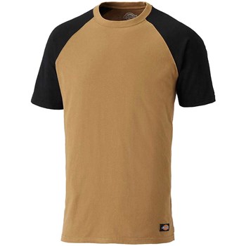 Dickies Mens Two Tone T Shirt
