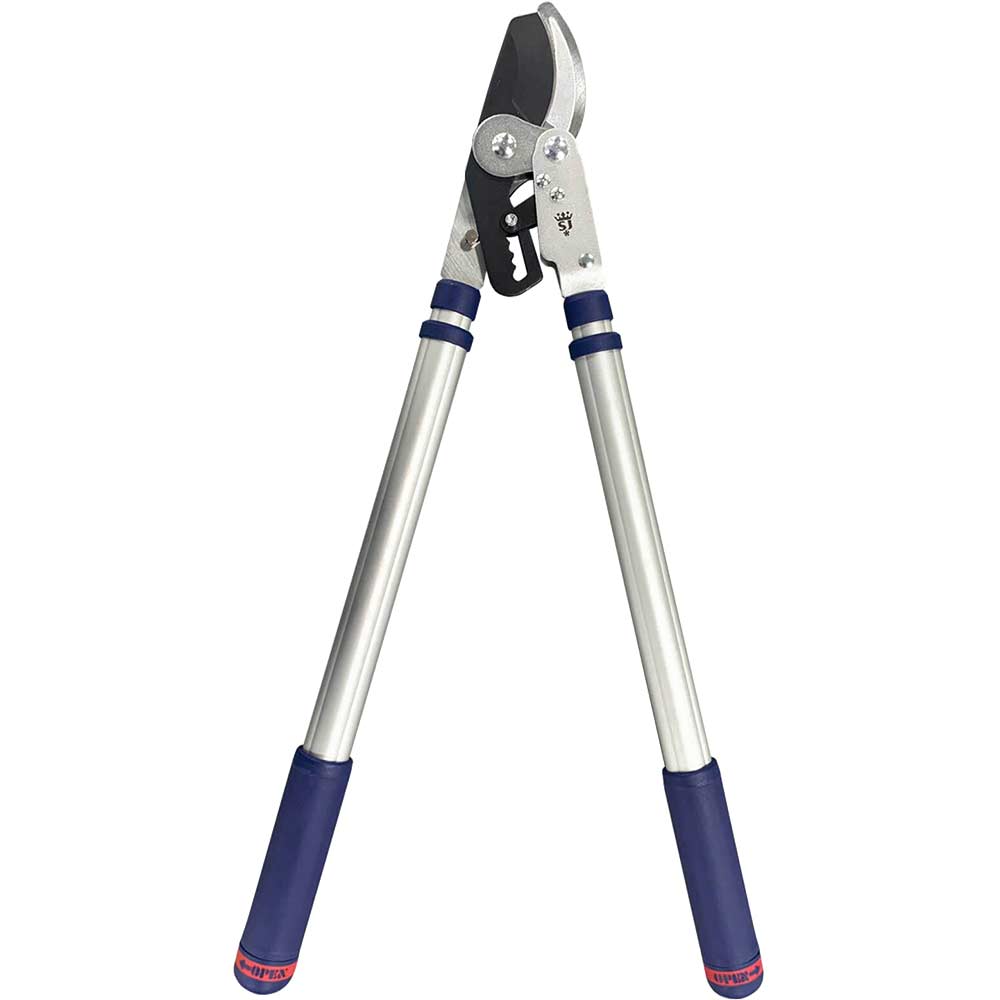 Image of Spear and Jackson Razorsharp Advantage Telescopic Ratchet Bypass Loppers 720mm