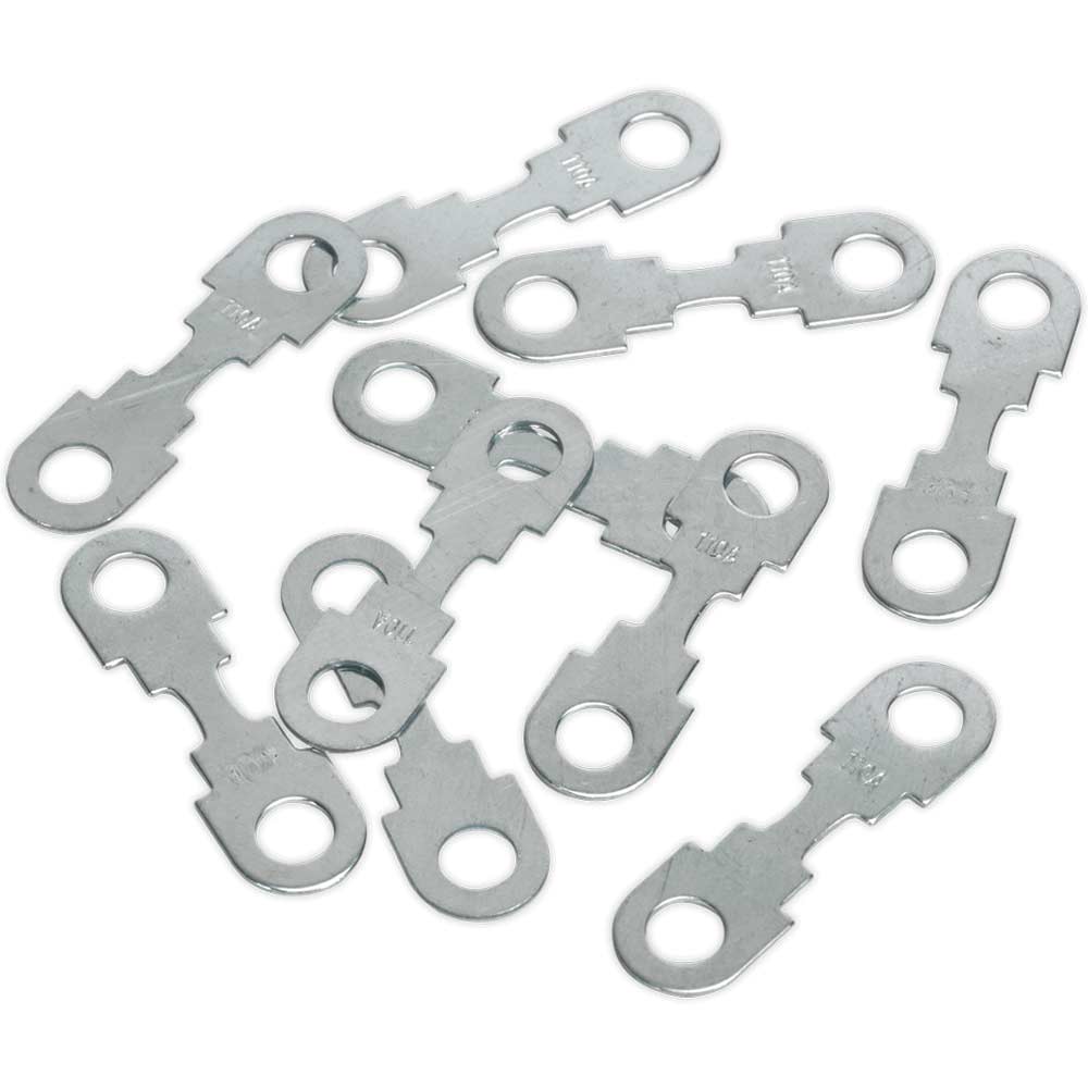 Sealey Fuse for START360 and START560 Starter Chargers 110A Pack of 10