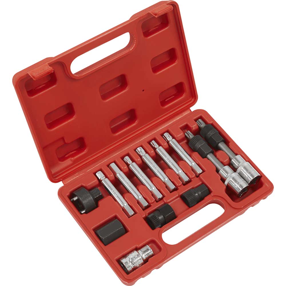 Sealey 13 Piece Alternator Freewheel Removal Tool Kit