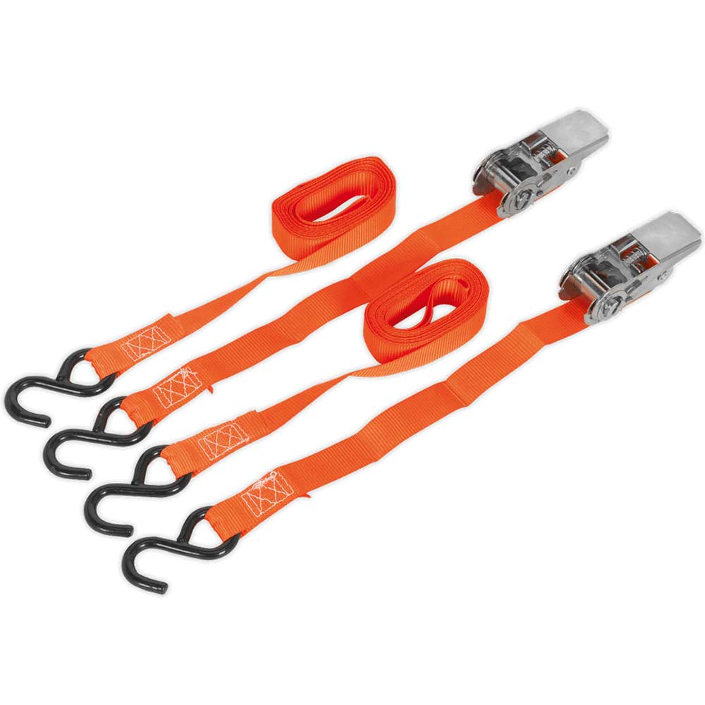 Sealey Tie Down S Hooks Capacity 25mm 4m 500kg in UK Specification