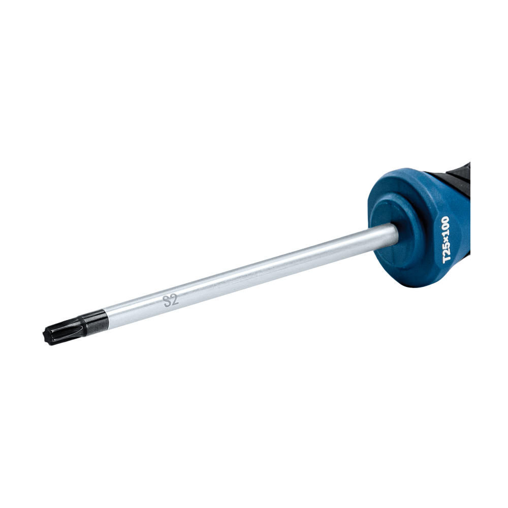 Image of Bosch Professional Torx Screwdriver TX25 100mm