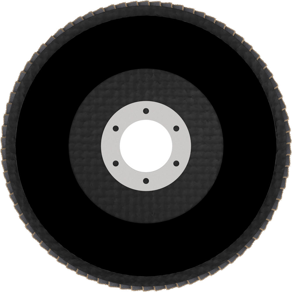 Image of Bosch PRO Zirconium Abrasive Flap Disc 125mm 40g