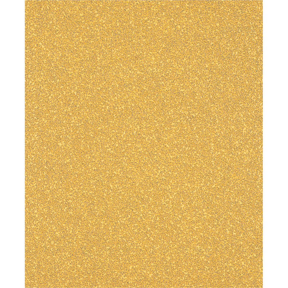 Image of Bosch EXPERT C470 Best for Wood and Paint Unpunched Sanding Sheet 230mm x 280mm 40g Pack of 1