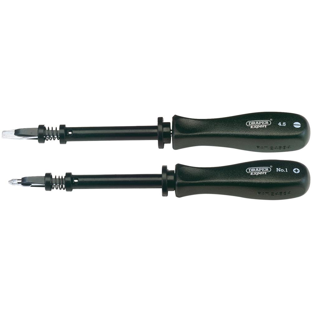 Draper Expert 2 Piece Screwdriver Set