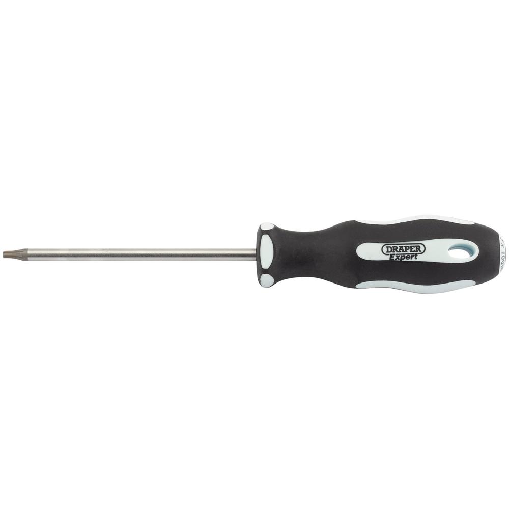 Draper Expert Torx Screwdriver T15 100mm