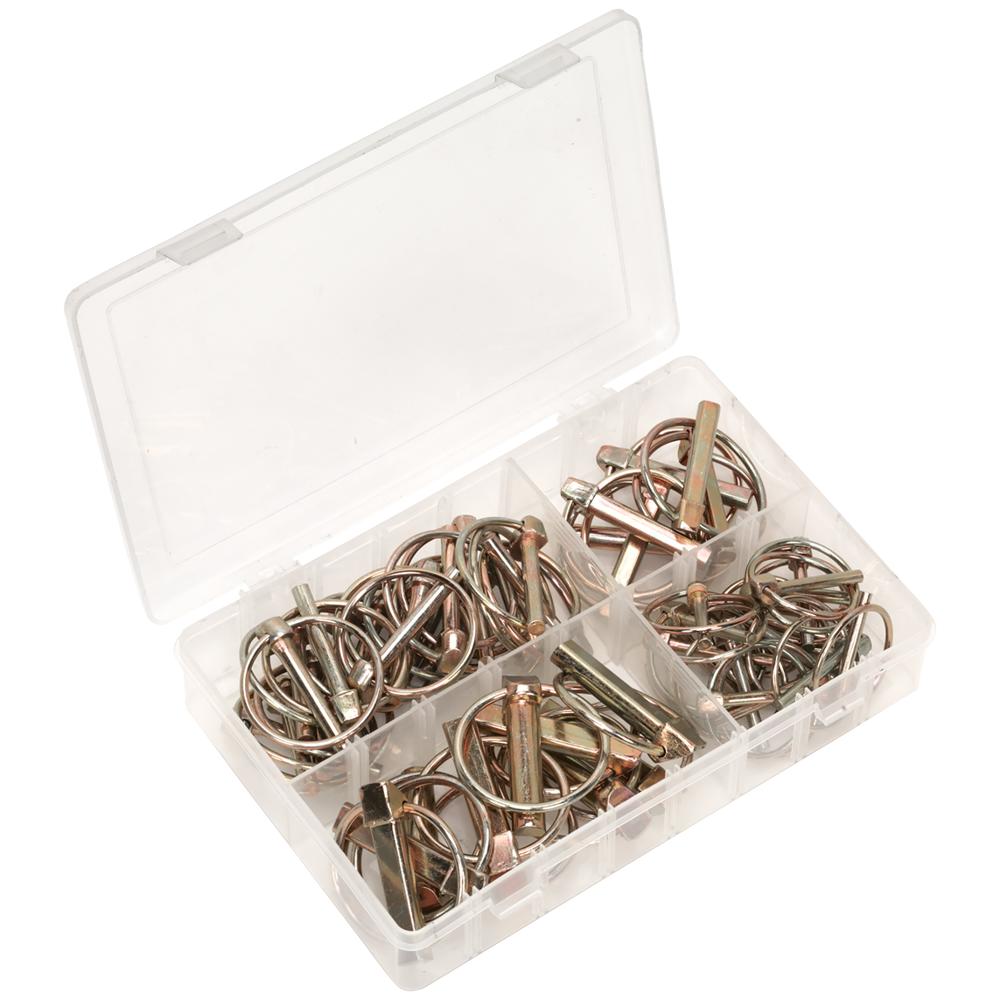 50 Piece Metric Linch Pin Assortment