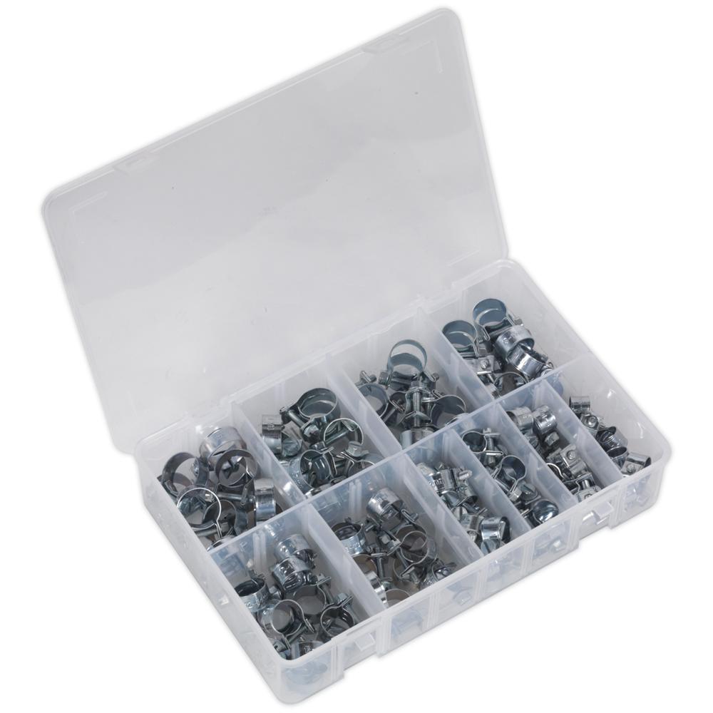 100 Piece Mini Zinc Plated Hose Clip Assortment