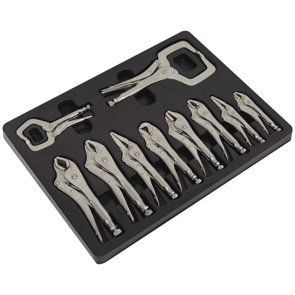 10 Piece Locking Pliers Set in Module Tray