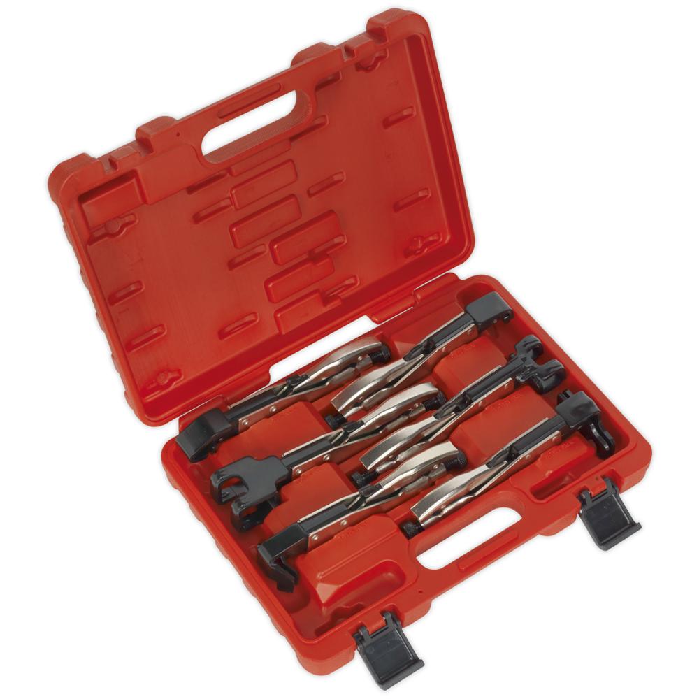 6 Piece Axial Locking Grip Clamp Set