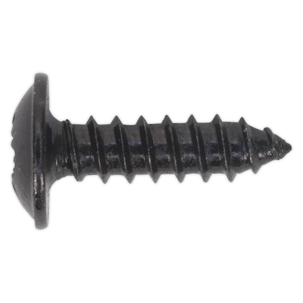 Self Tapping Flange Head Pozi Screws Black