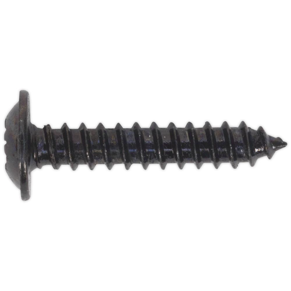 Self Tapping Flange Head Pozi Screws Black