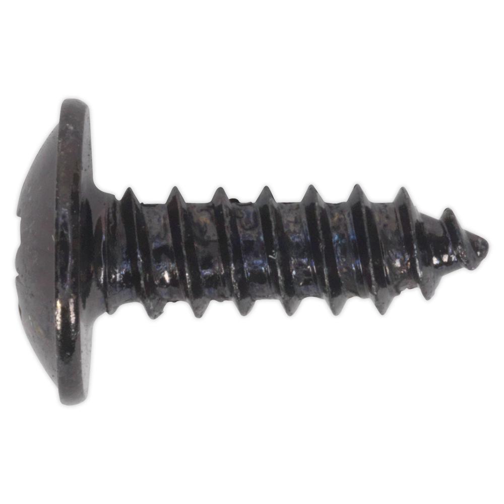 Self Tapping Flange Head Pozi Screws Black