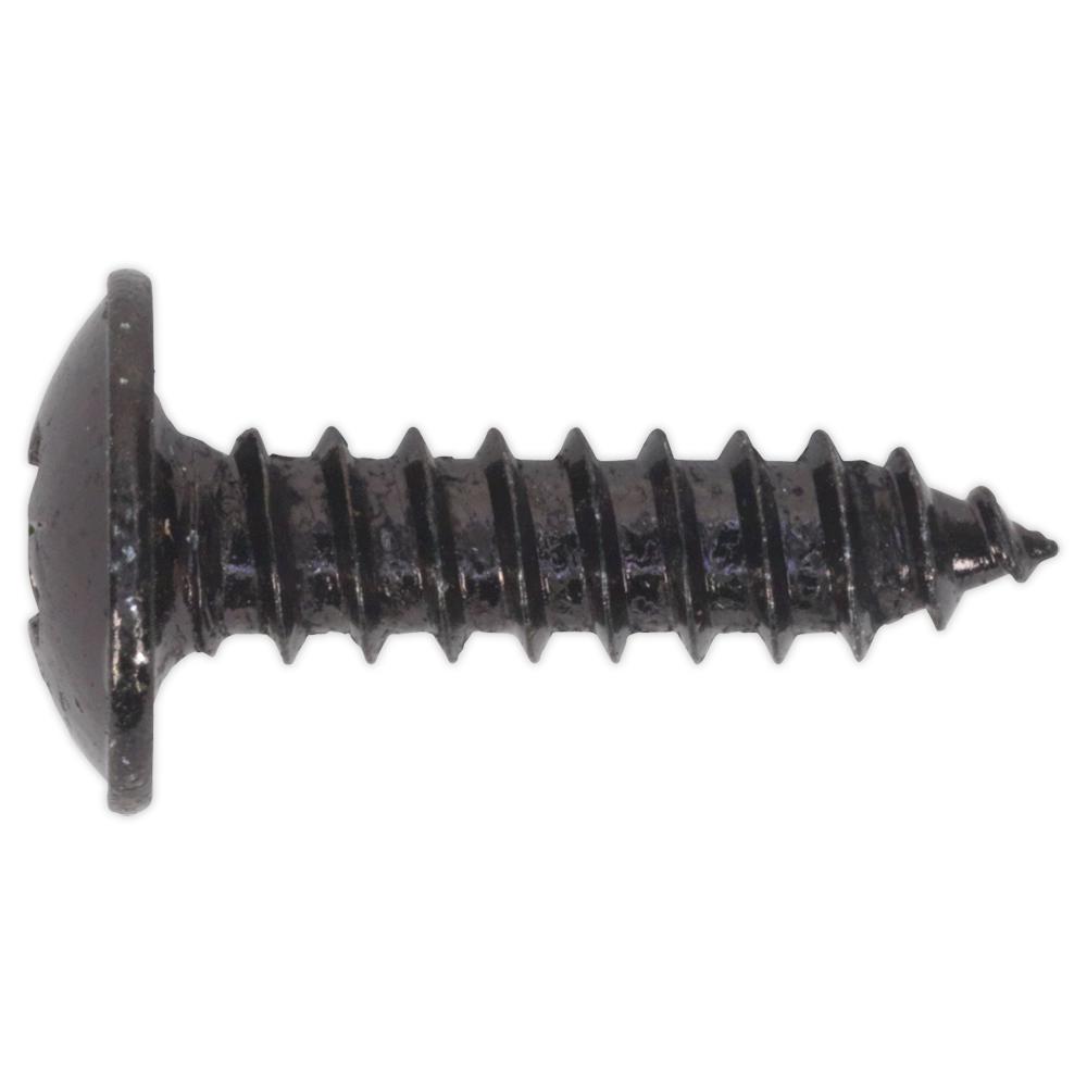 Self Tapping Flange Head Pozi Screws Black
