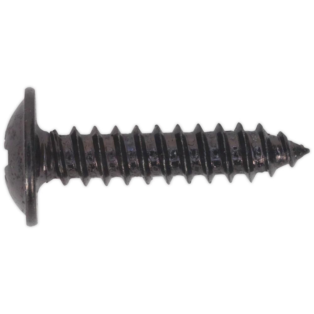 Self Tapping Flange Head Pozi Screws Black
