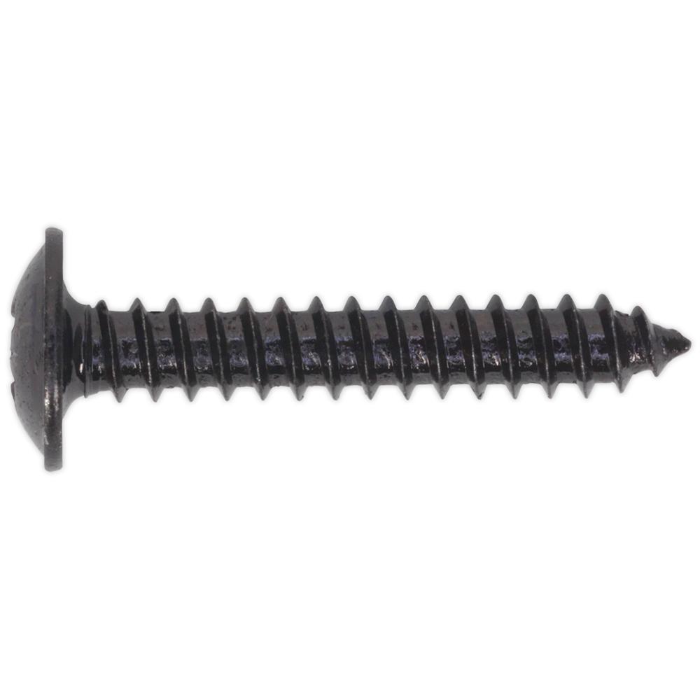 Self Tapping Flange Head Pozi Screws Black