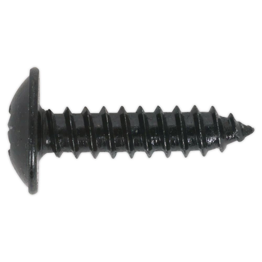 Self Tapping Flange Head Pozi Screws Black