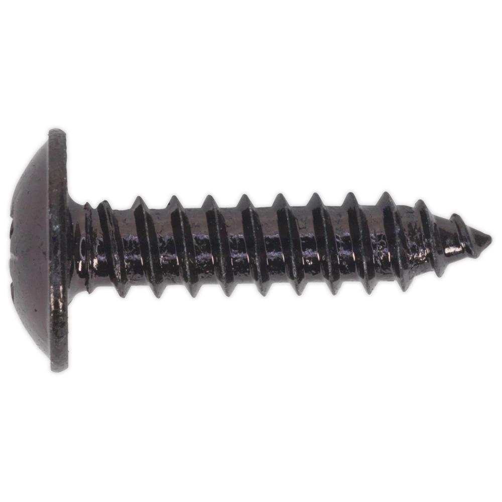 Self Tapping Flange Head Pozi Screws Black