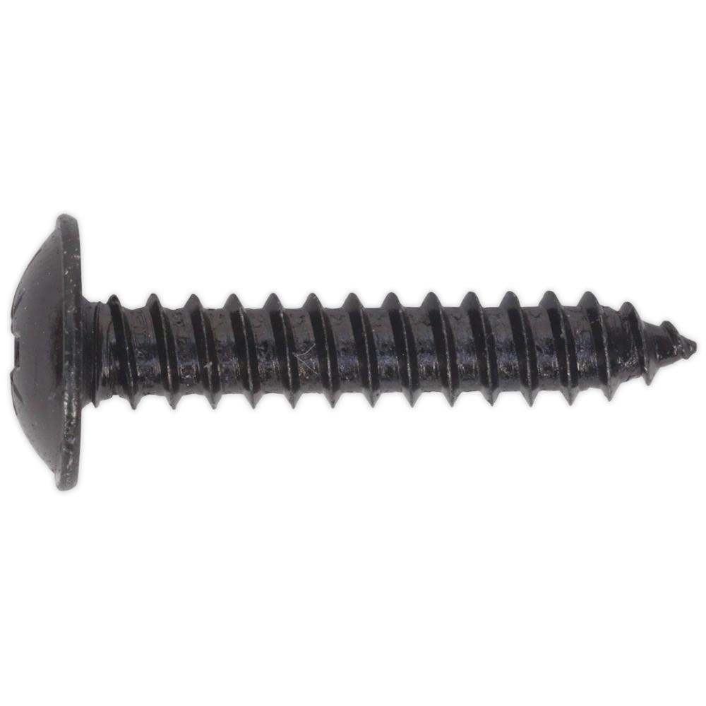 Self Tapping Flange Head Pozi Screws Black