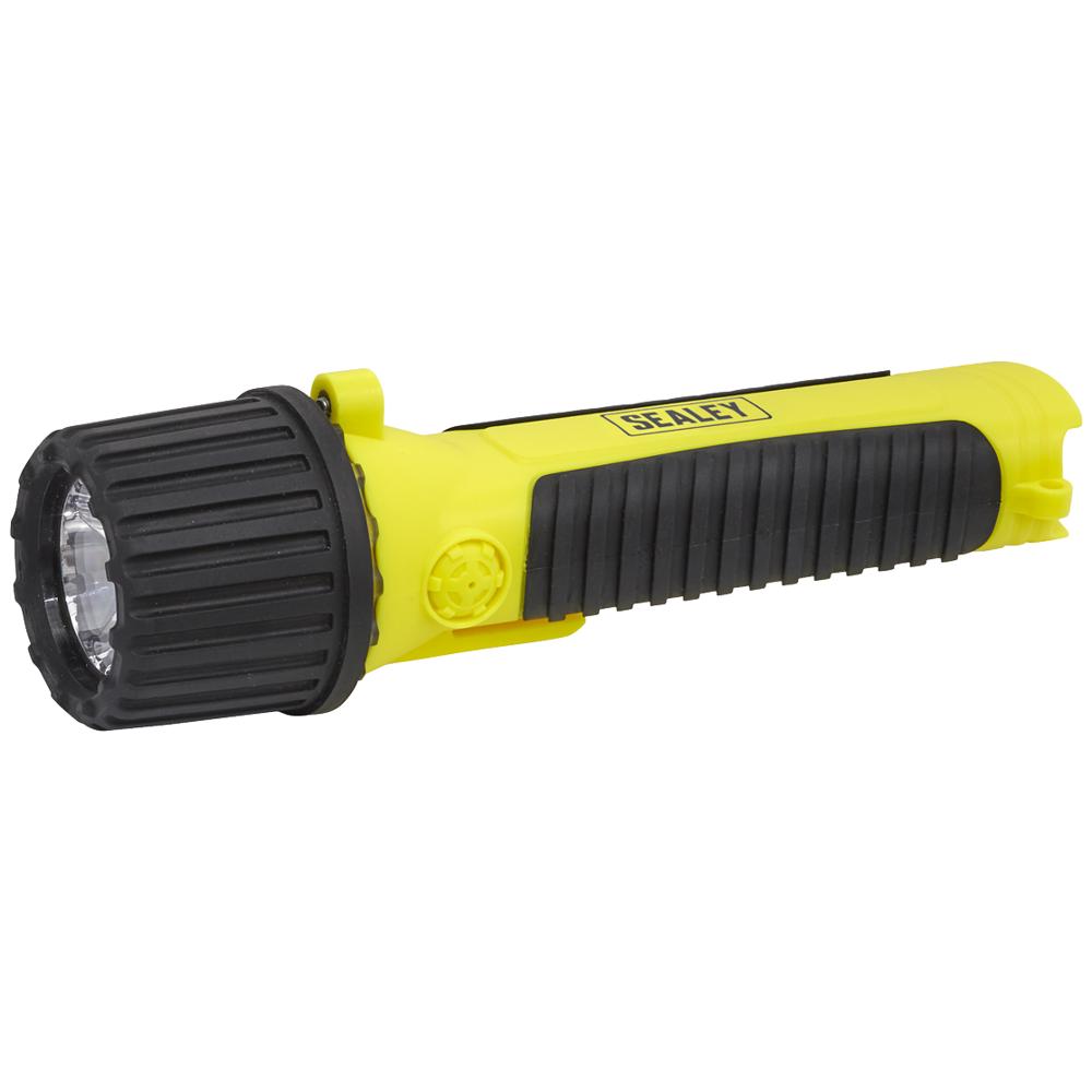 LED ATEX Torch