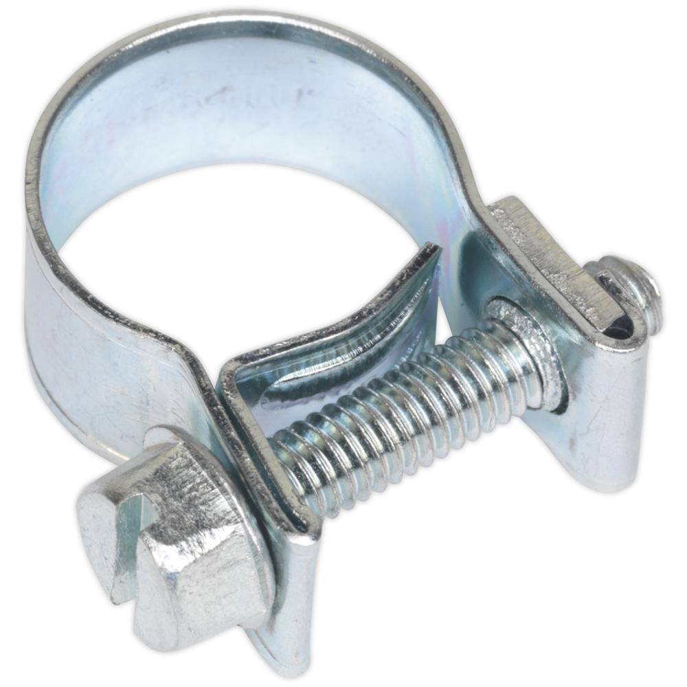 Mini Hose Clips