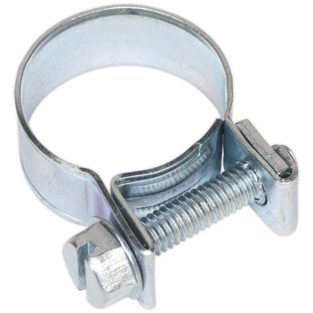 Mini Hose Clips