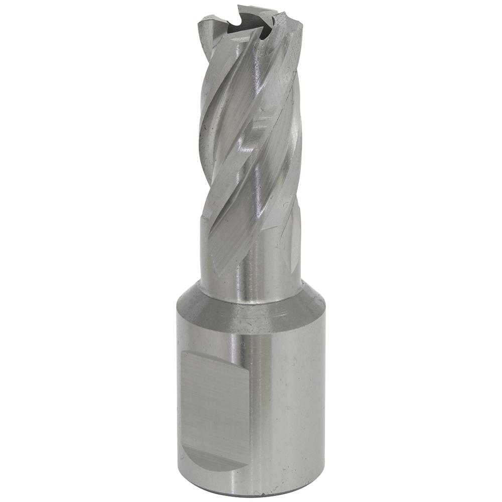 Rotabor Weldon Shank HSS Mag Drill Cutter