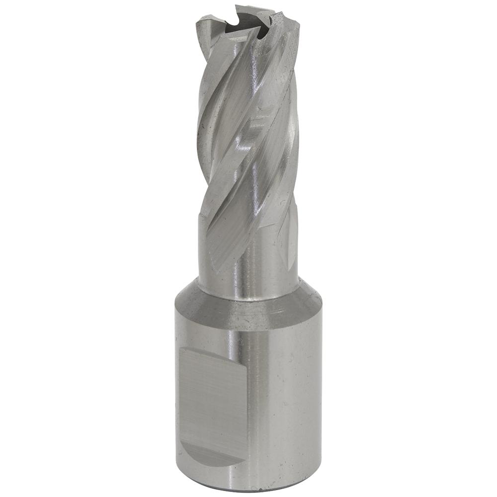 Rotabor Weldon Shank HSS Mag Drill Cutter