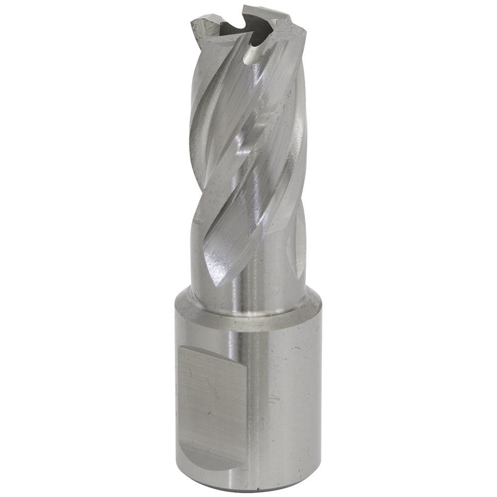 Rotabor Weldon Shank HSS Mag Drill Cutter