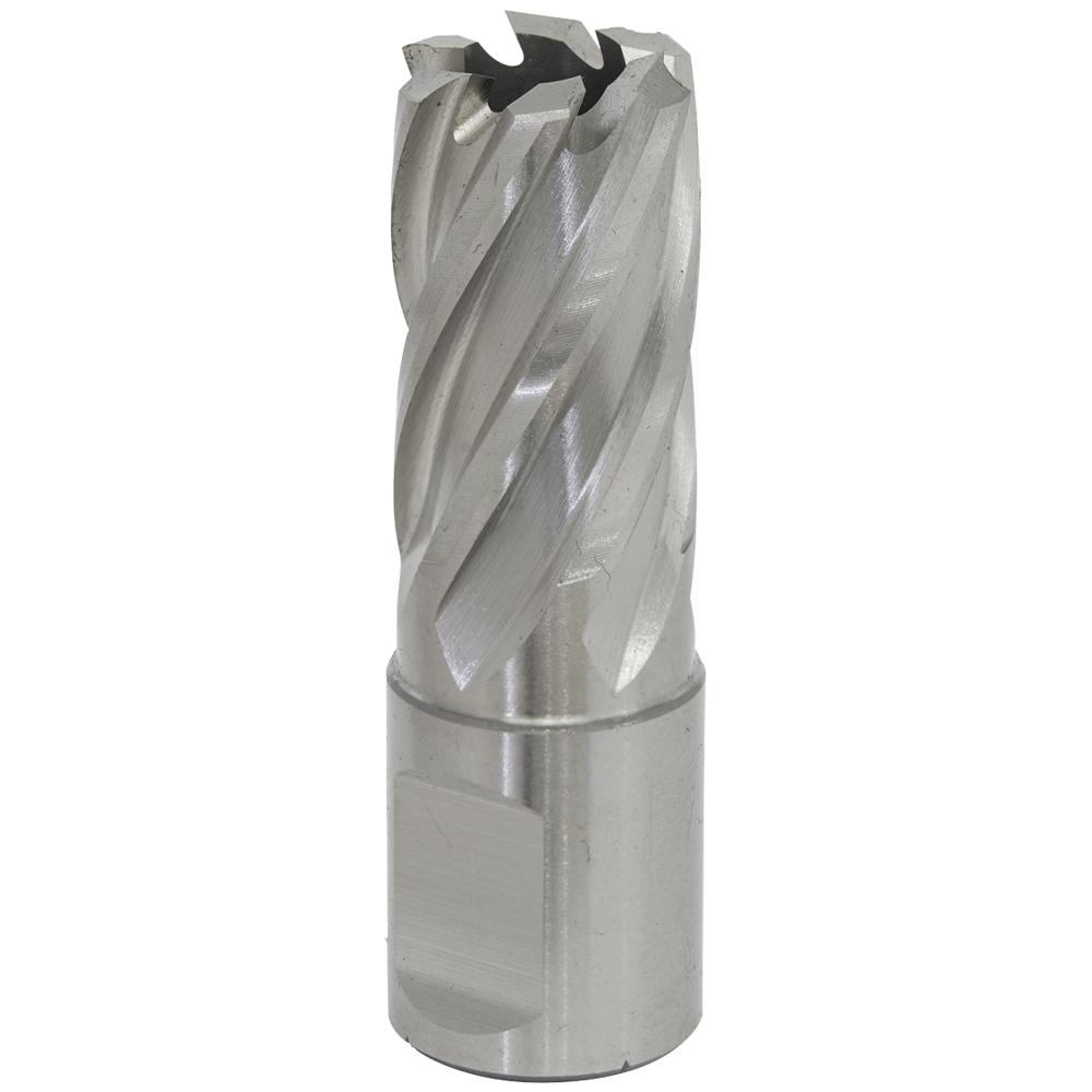 Rotabor Weldon Shank HSS Mag Drill Cutter