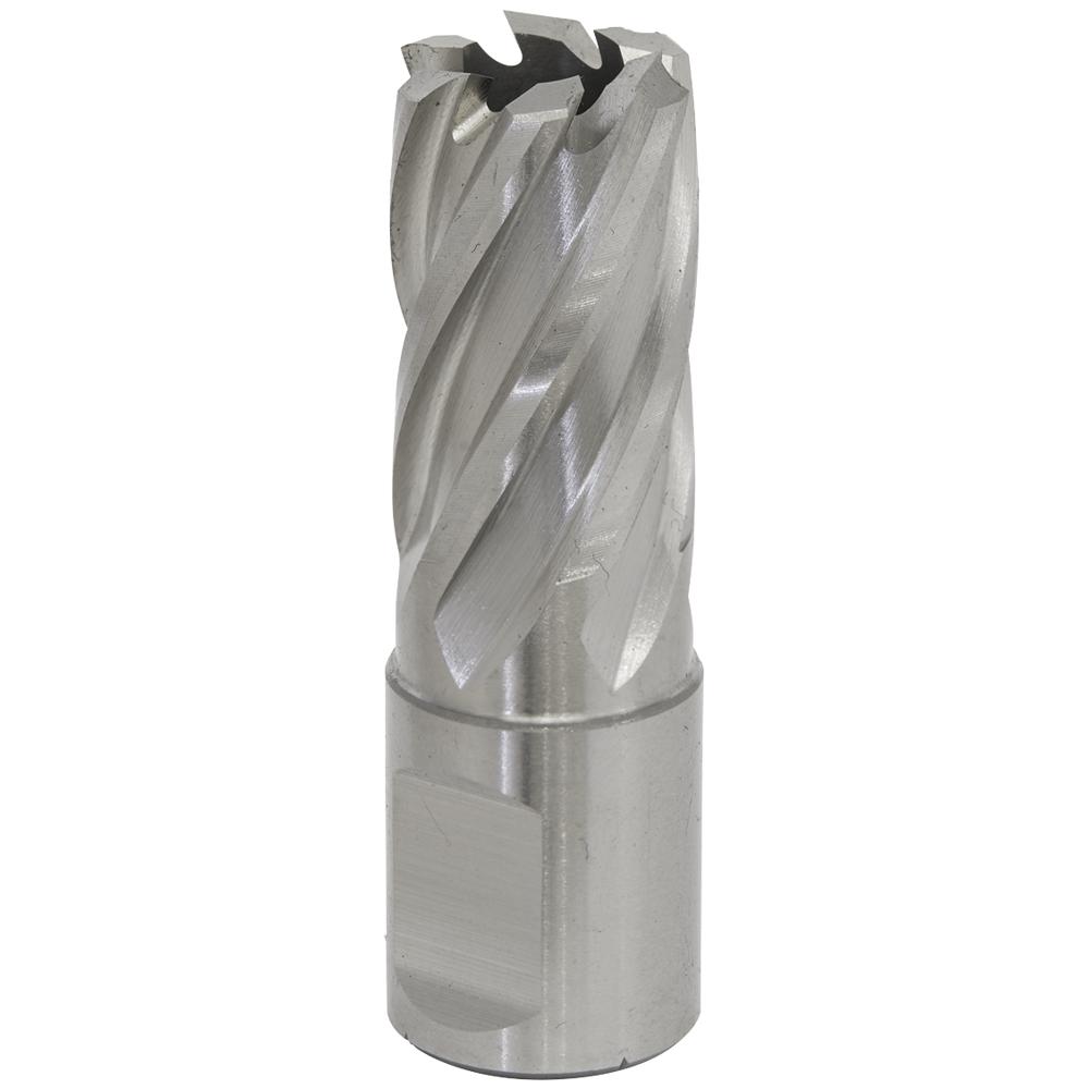 Rotabor Weldon Shank HSS Mag Drill Cutter