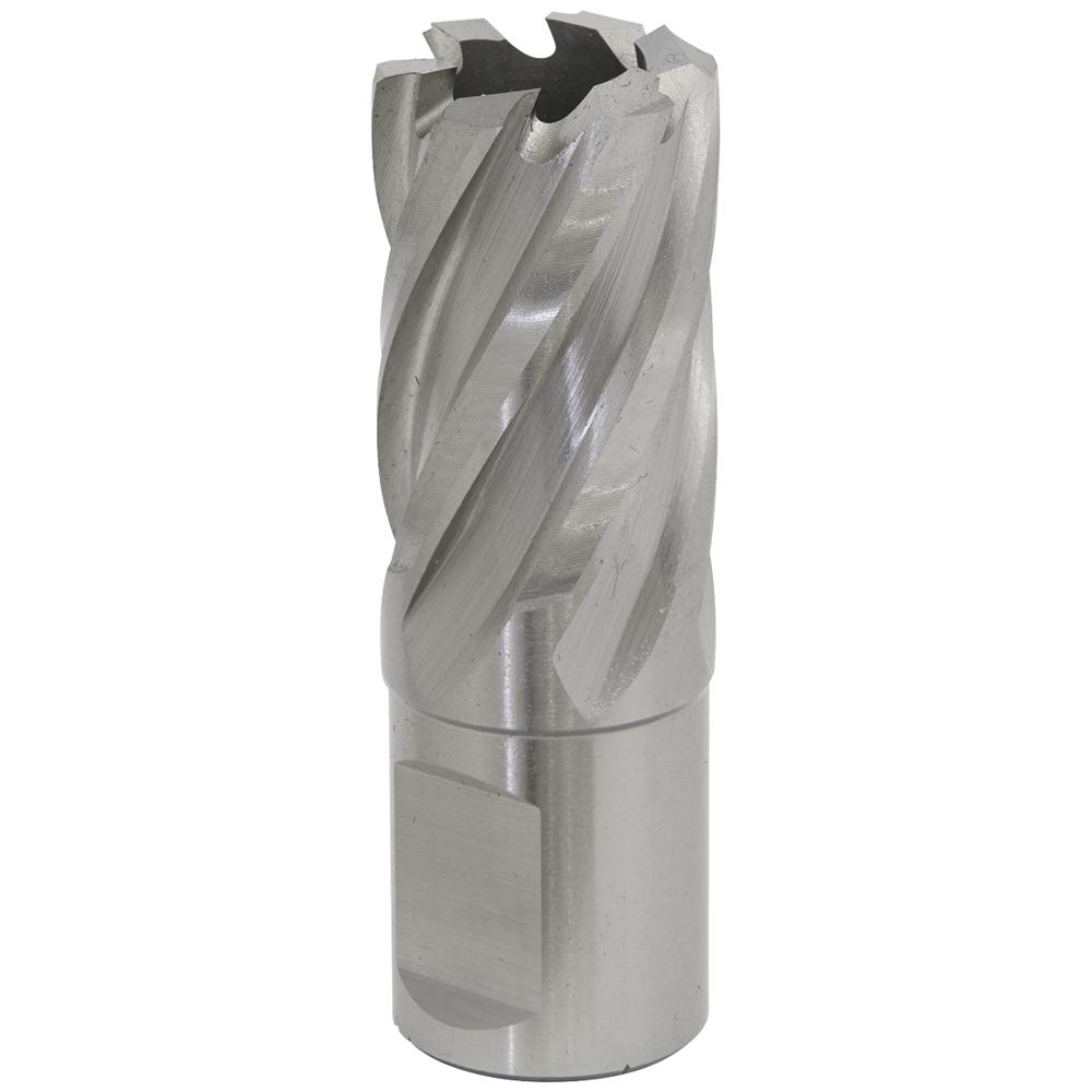 Rotabor Weldon Shank HSS Mag Drill Cutter
