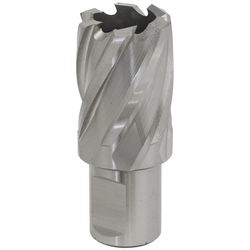 Sealey Rotabor Weldon Shank HSS Mag Drill Cutter