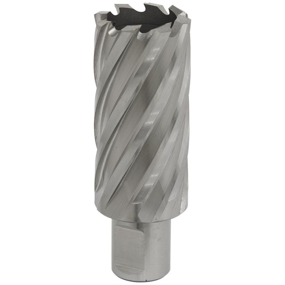 Rotabor Weldon Shank HSS Mag Drill Cutter