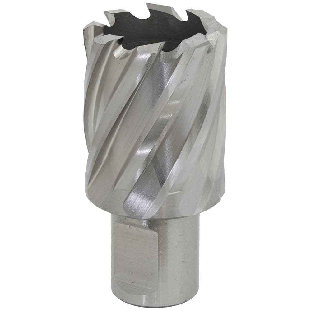 Sealey Rotabor Weldon Shank HSS Mag Drill Cutter