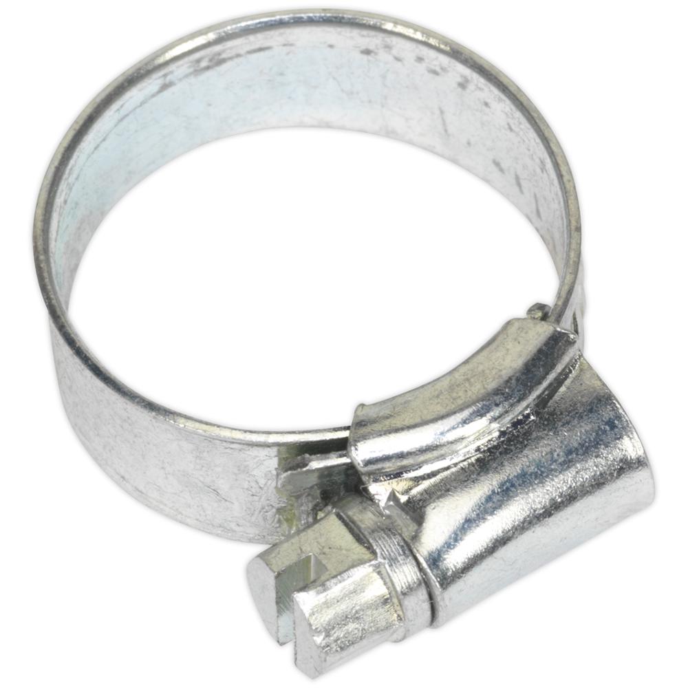 Zinc Plated Hose Clips