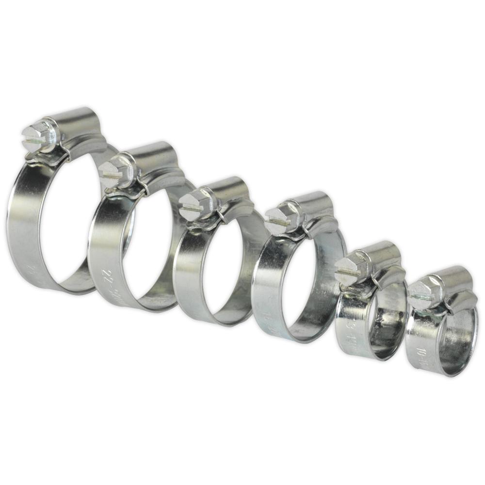 30 Piece Hose Clip Assortment