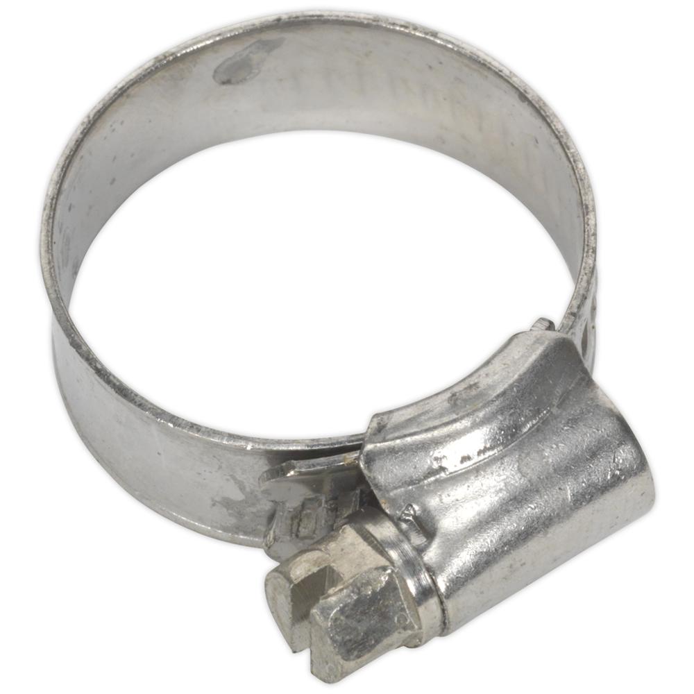 Stainless Steel Hose Clips