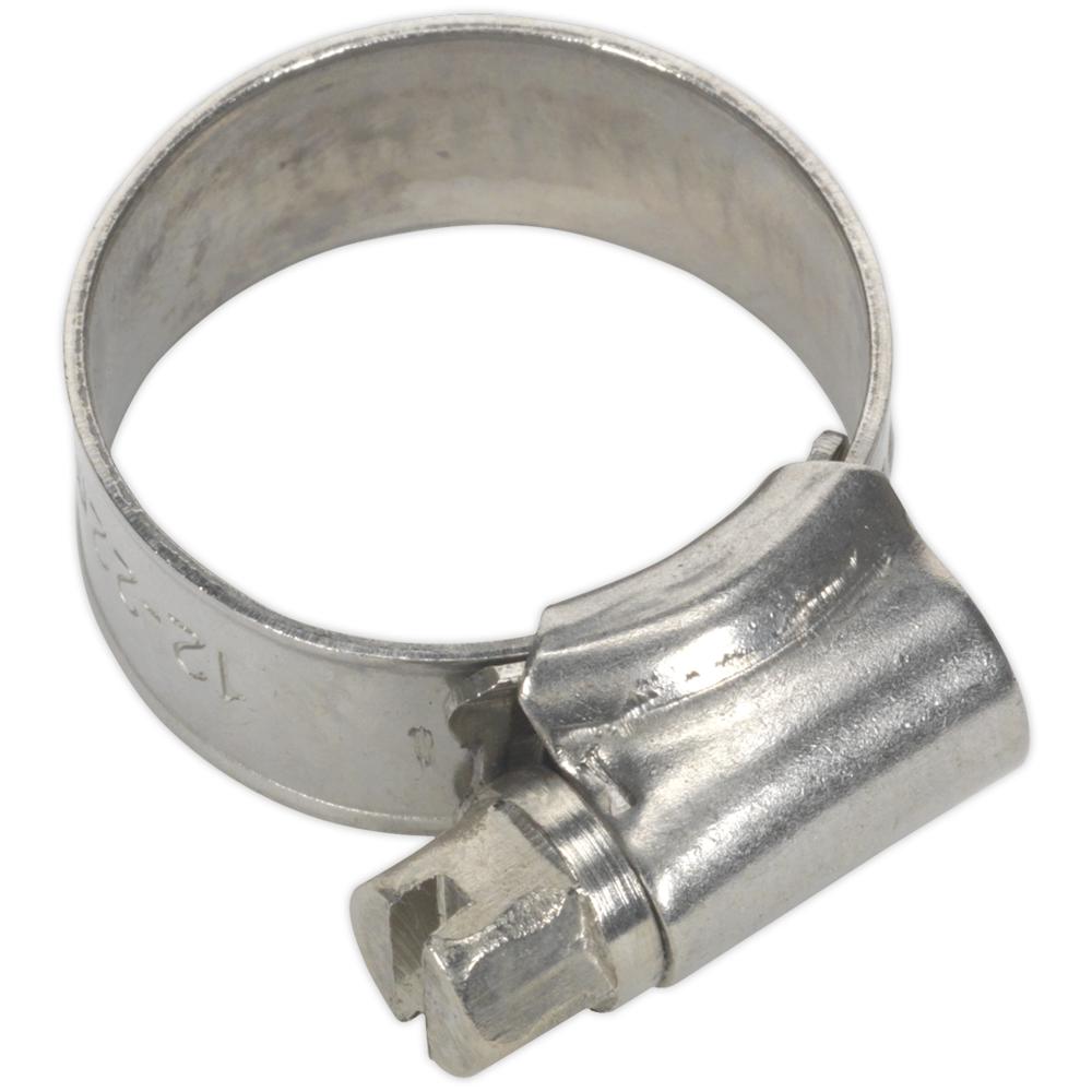 Stainless Steel Hose Clips