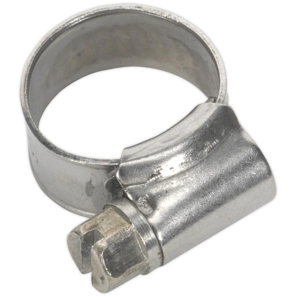 Stainless Steel Hose Clips