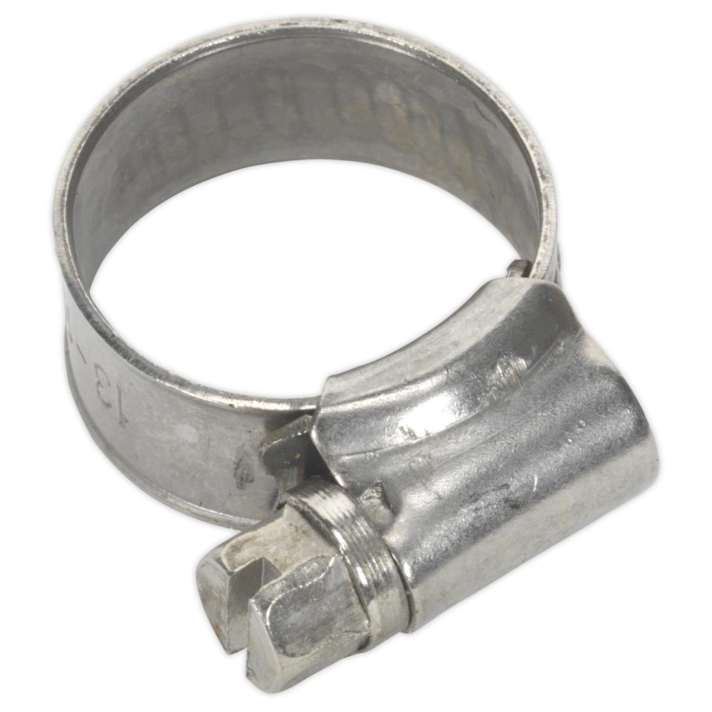 Stainless Steel Hose Clips
