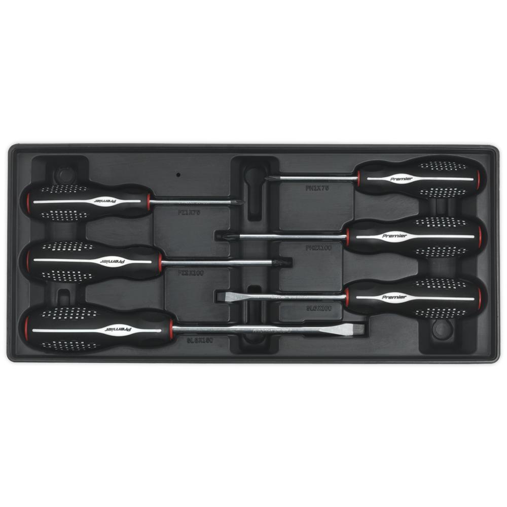 6 Piece Screwdriver Set in Module Tray