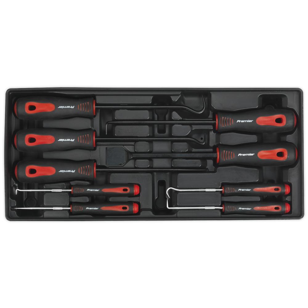 9 Piece Scraper and Pick Set in Module Tray