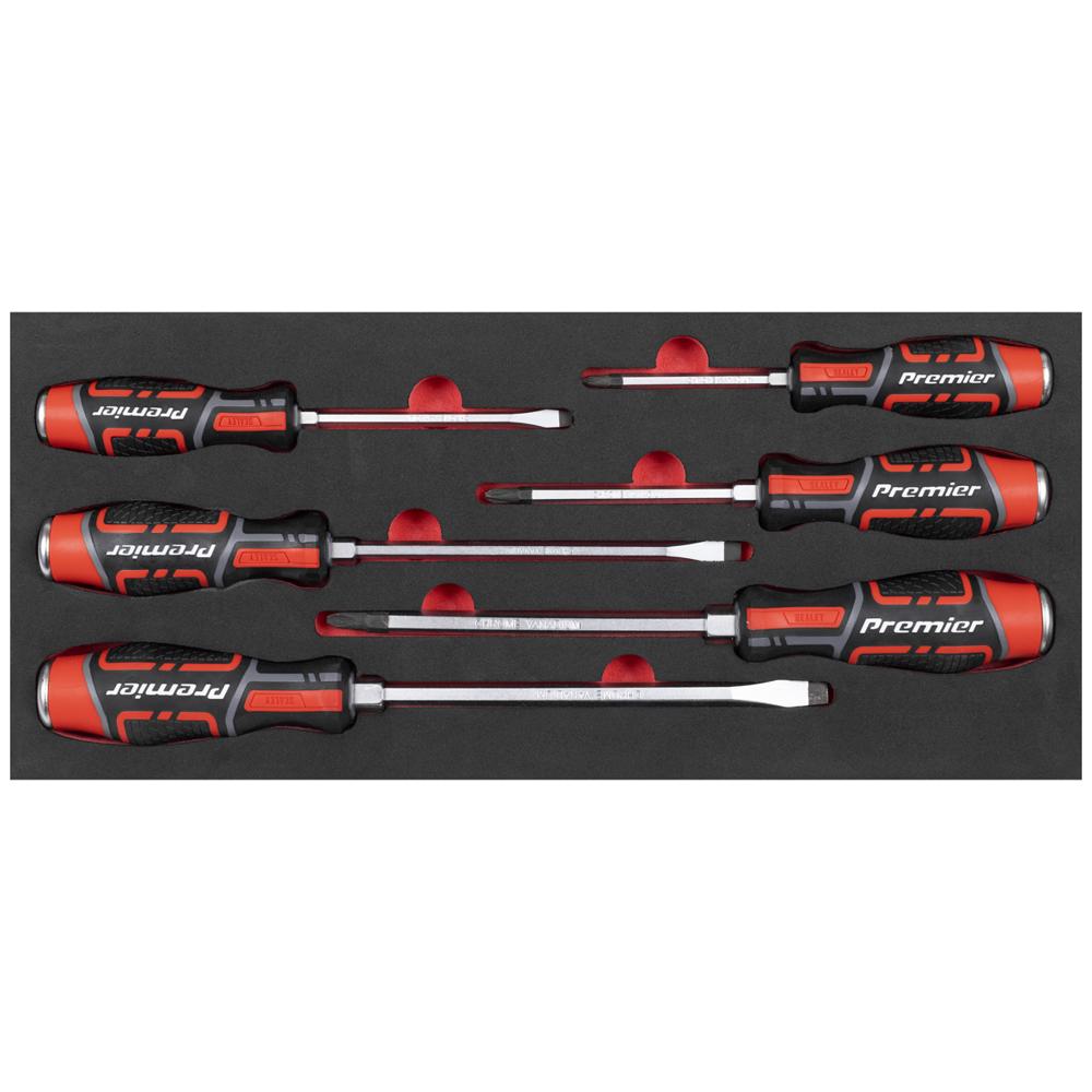 Premier 6 Piece Hammer Thru Screwdriver Set in Module Tray