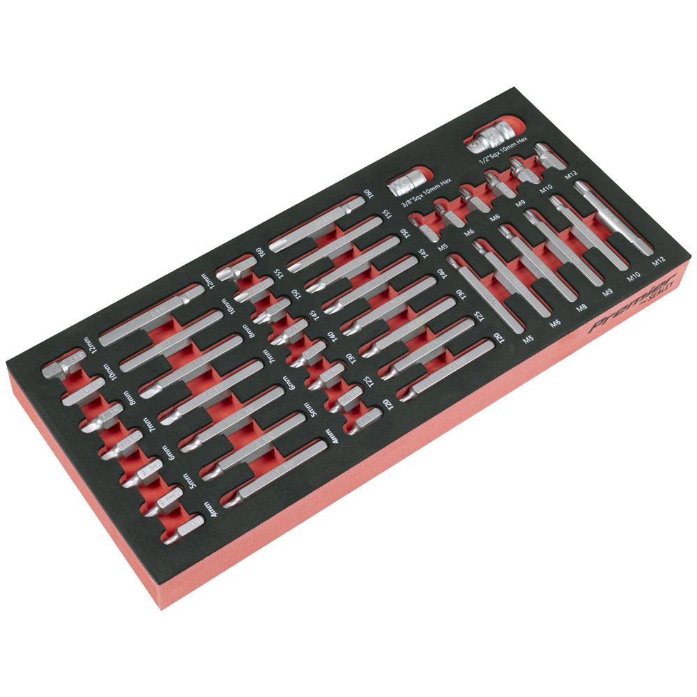 Premier 44 Piece 10mm Hex Shank Screwdriver Bit Set in Module Tray