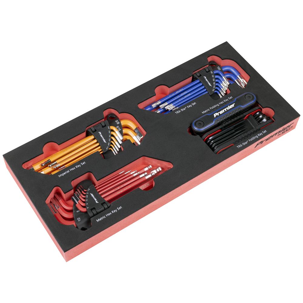 Premier 43 Piece Hex and Torx Key Set in Module Tray